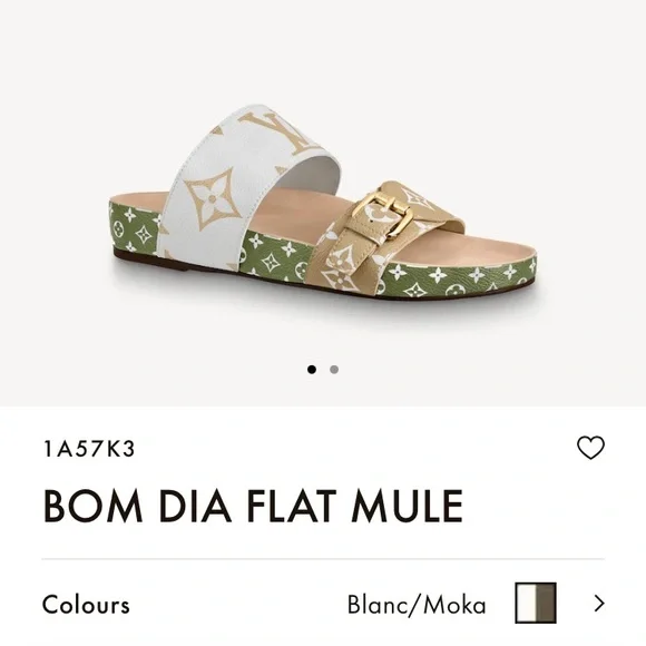 Louis Vuitton Sandals - Picture 1 of 15